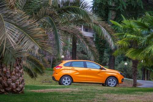 АВТОВАЗ может отправить на экспорт LADA XRAY